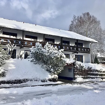 Scottish Highlander Mauth